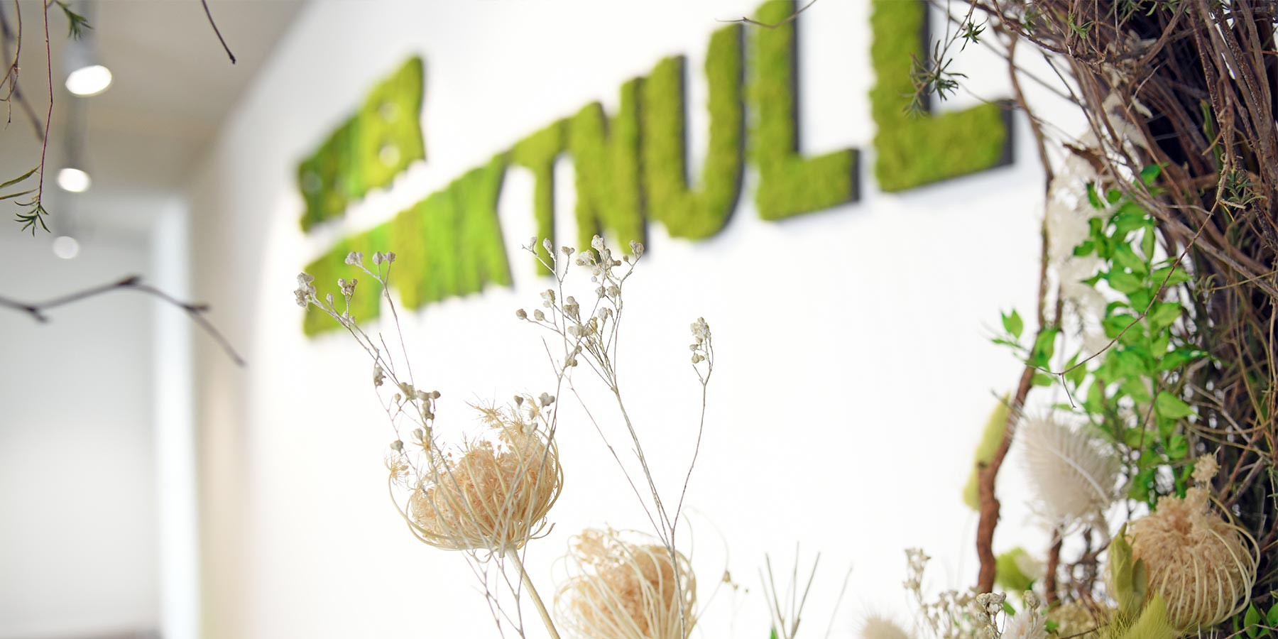 Foto: Pflanzen mit steuerzweipunktnull Logo im Hintergrund